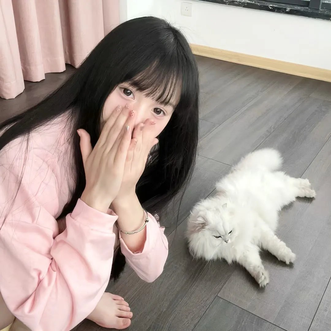 萤火虫之墓